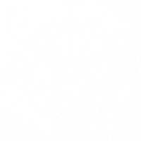 logo-trans